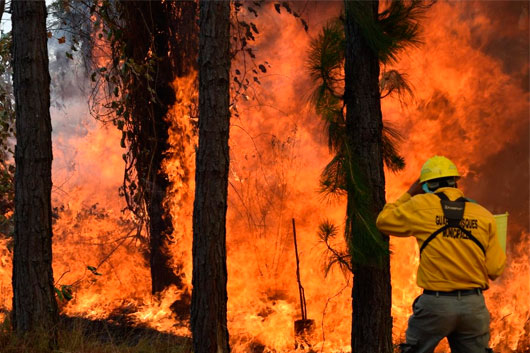 Señalan a grupo criminal de provocar incendio al sur de Uruapan