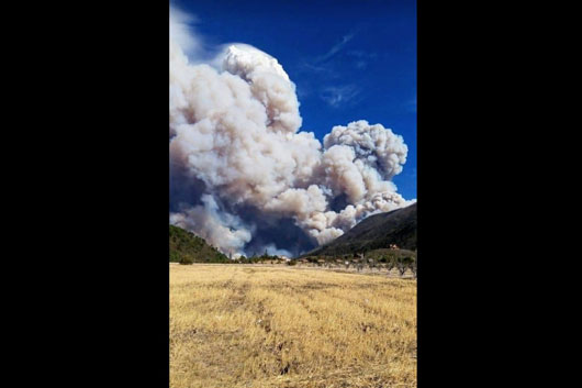 Incendios en NL golpean agricultura, ganadería y turismo