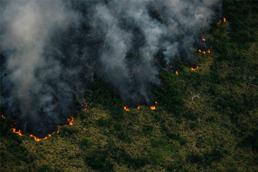 Incendios en la Amazonía de Brasil aumentaron 8% en julio 