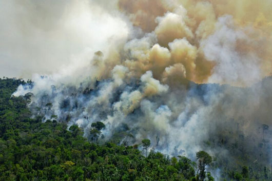 Amazonia brasileña, lejos de las preocupaciones del proceso electoral del país