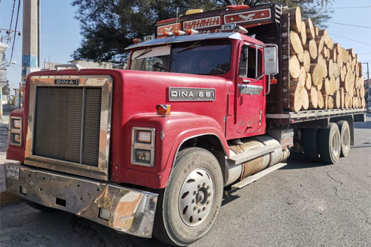 SSC aseguró dos tractocamiones con material forestal