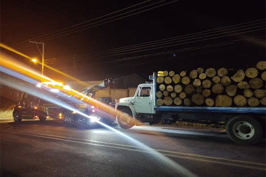 SSC aseguró dos tractocamiones con material forestal