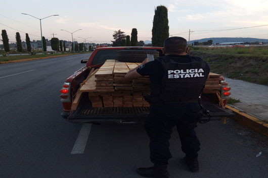 La SSC asegura materia prima forestal en Huamantla 