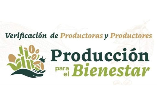 Inicia verificación de registro para acceder al programa Producción para el Bienestar 