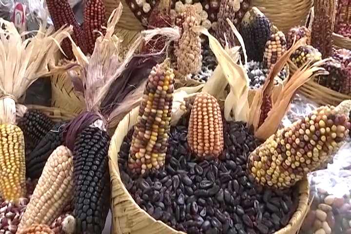 Presentan programa de actividades de la décima segunda edición de la Fiesta del maíz