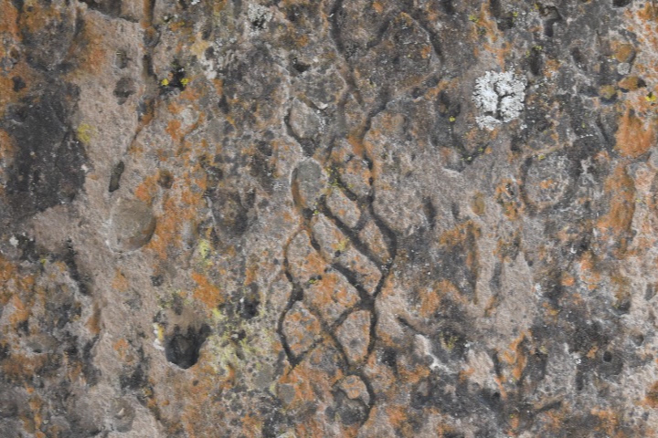 Conozca los Petroglifos y figuras zoomorfas de Altlzayanca