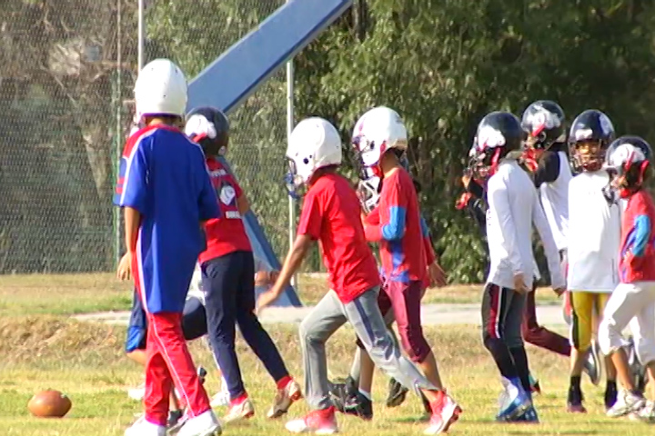 Están por iniciar temporada los categorías infantiles de  Bulldogs 