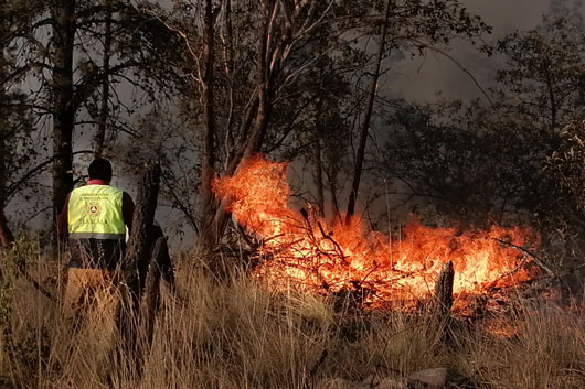 Autoridades estatales y federales combaten incendio forestal en la Malinche