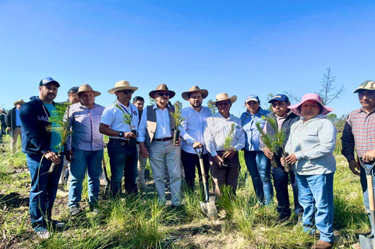 Reforesta PROPAET el ejido cola de caballo en la malinche