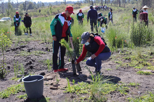 Estudiantes del CECYTE plantaron 2 mil 100 árboles en la malinche