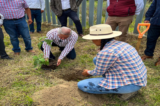 Celebra UPTX día mundial del árbol