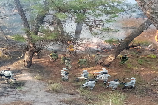 Controlaron autoridades incendios forestales en cuatro municipios