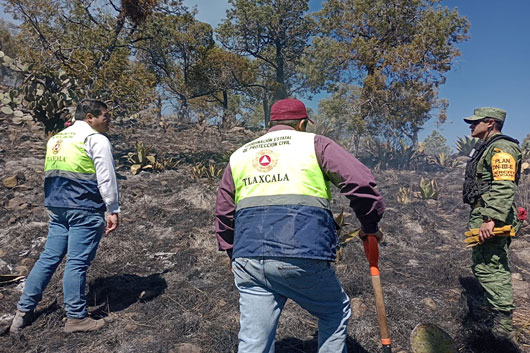 Pide CEPC prevenir incendios ante temporada de estiaje