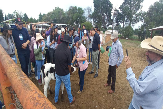 Imparte SIA curso sobre crianza de reemplazos bovinos