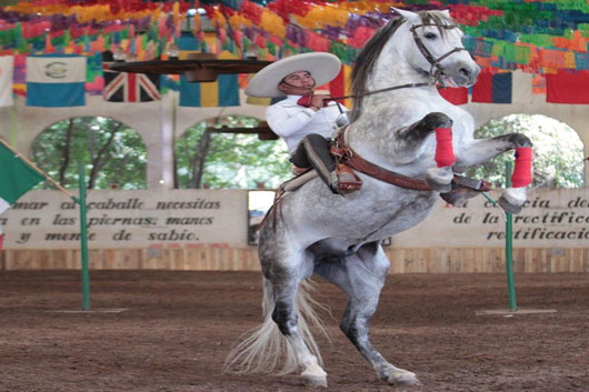 Con espectáculo ecuestre de la alta escuela Domecq cerrará “Tlaxcala la Feria de Ferias 2023”