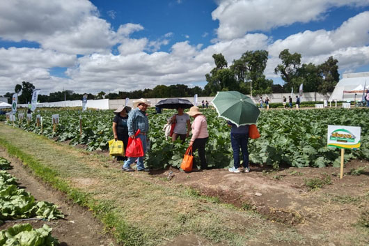 Asisten 140 productores tlaxcaltecas a expo hortícola Puebla