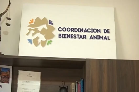 Firman convenio CBA y SSC para prevenir maltrato animal 