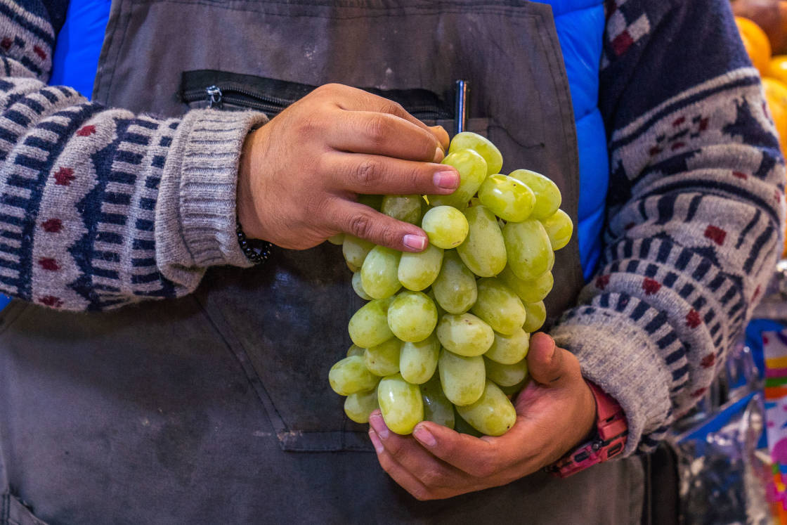 Garantiza Agricultura abasto de uva para festejos de Año Nuevo