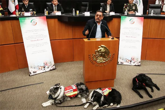  Senado entrega reconocimientos a binomios caninos que apoyaron en terremoto de Turquía