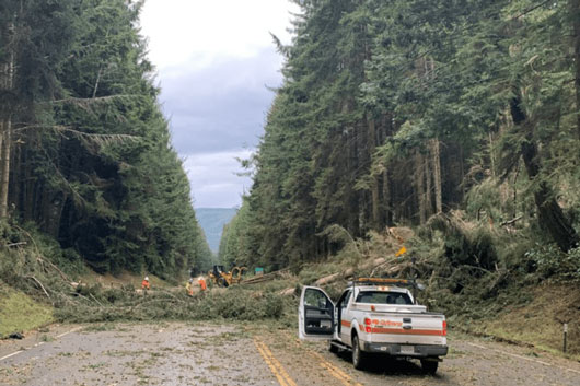 California evalúa daños después de días de tormentas mortales 