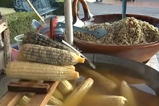 Supervisará COESPRIST establecimientos de comida de la entidad  