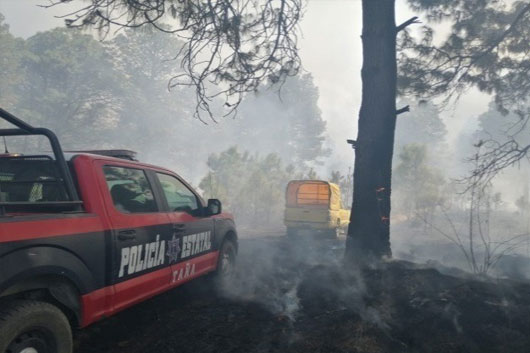 Logra SSC 59 puestas a disposición por delitos ambientales