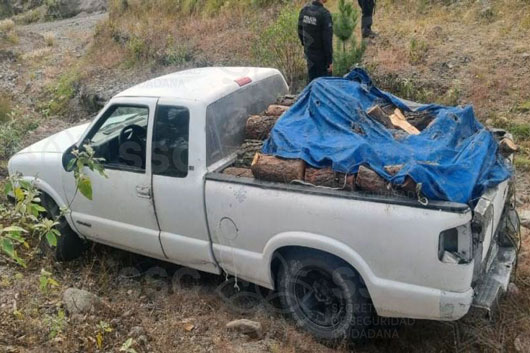 Nuevas acciones de la SSC contra los delitos ambientales