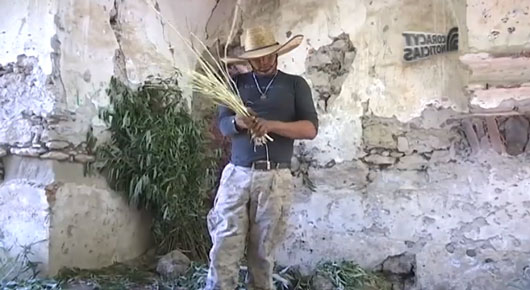 Adrián Lara, heredero del arte ancestral de la cestería