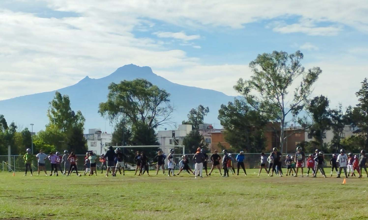 Regresaron los canes a los entrenamientos 