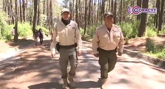 Resguardan guardas forestales flora y fauna de los espacios naturales de la entidad 