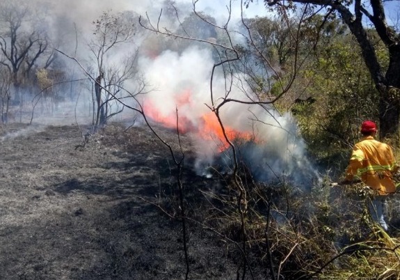 Brasil: incendios forestales afectan a 30 ciudades y dejan 2 muertos