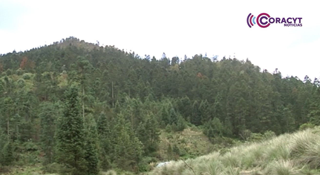 Ofrece Tlaxco extensos paisajes naturales