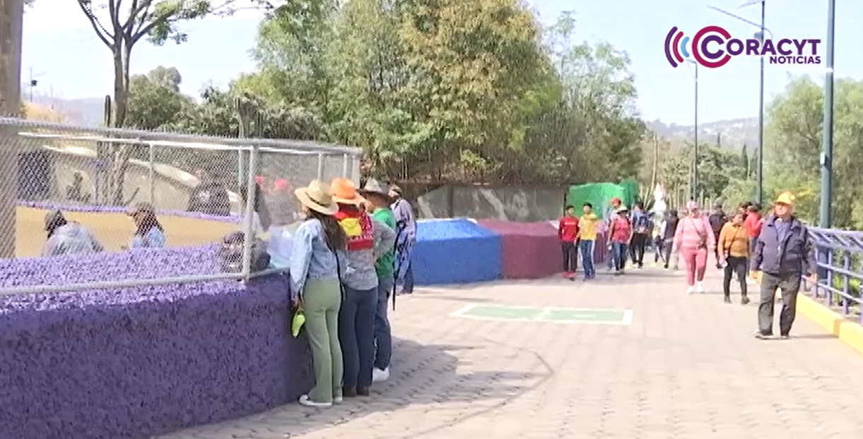 En estas vacaciones, vive una gran experiencia en el Zoológico del Altiplano