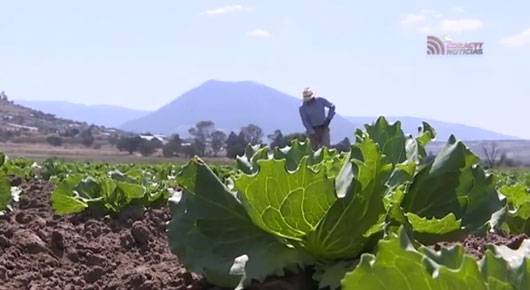 Aprecian productores de Tlaxco apoyo de la mandataria Lorena Cuéllar 