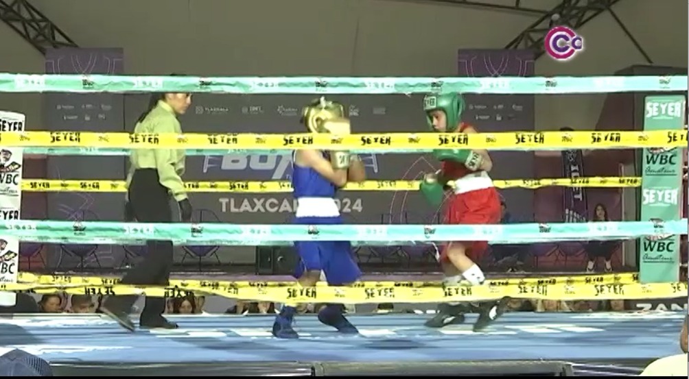 Con éxito se desarrolló el Torneo Amateur de Box 