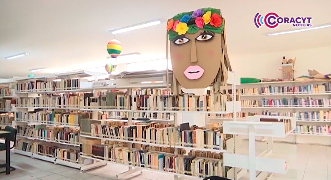 Participa en los cursos de verano de la Red de Bibliotecas Públicas 