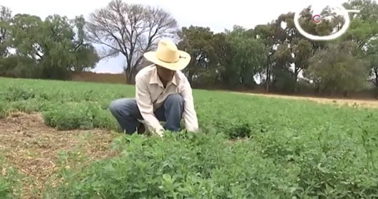 Alista SIA entrega de apoyos a productores 