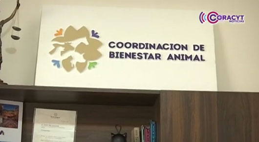 Tramita la “Clave de Registro Única de Animales de Compañía” 