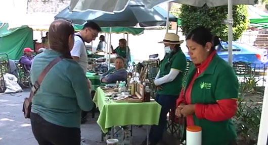 Ofrece mercado de San Nicolás productos locales