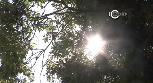 Ola de calor impacta consumo de energía eléctrica  