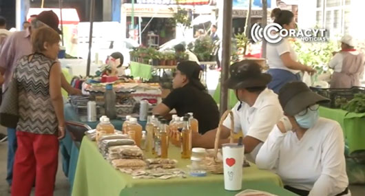 Ofrece Mercado Alternativo de Chiautempan variedad de productos orgánicos 