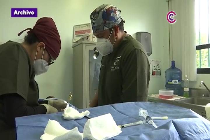 Realizará IMSS Jornada de Vasectomía sin Bisturí gratuita