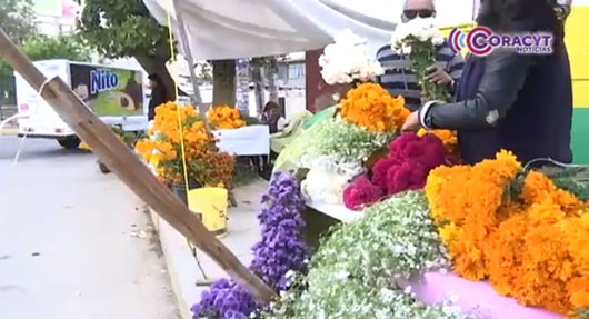 Por temporada de “Día de Muertos”, incrementó el precio de las flores 