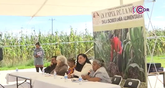 Mujeres productoras, garantes de la soberanía alimentaria del mundo 