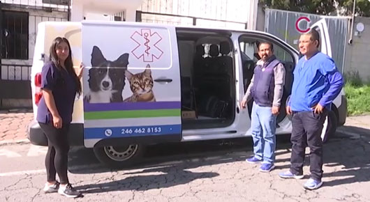 Trabaja CEAM en  marco normativo para regular acciones de médicos veterinarios 