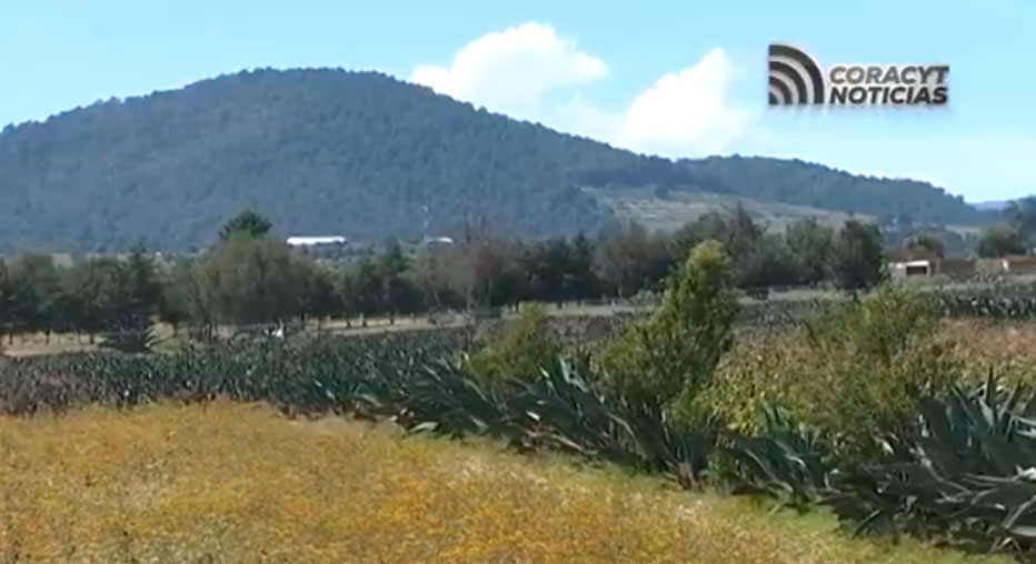 Exhorta ambientalista a cuidar los recursos naturales 