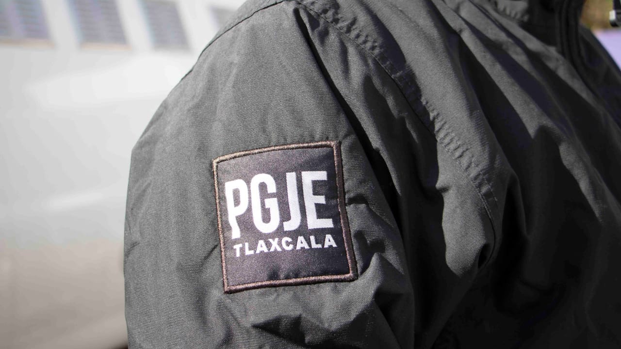 Asegura PGJE 17 plantas de marihuana en el municipio de Ixtacuixtla