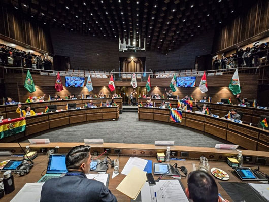 Bolivia: aprueba Senado suspensión de elecciones primarias