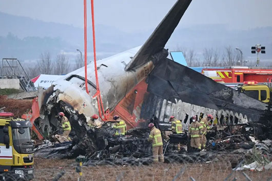 Luto en Corea del Sur: sobrevivieron al avionazo dos de 181 pasajeros