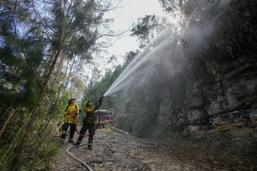 Declara Colombia desastre y calamidad por incendios; pide ayuda